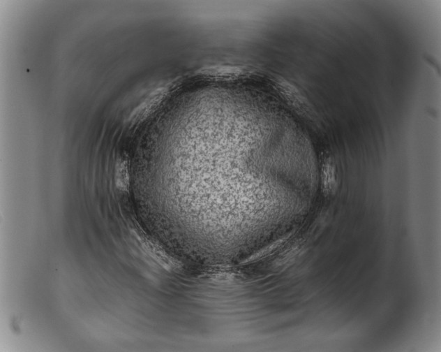 X0000099411204200805231556