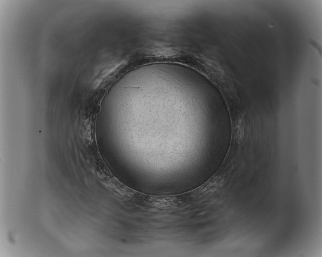 X0000099411205200805231556