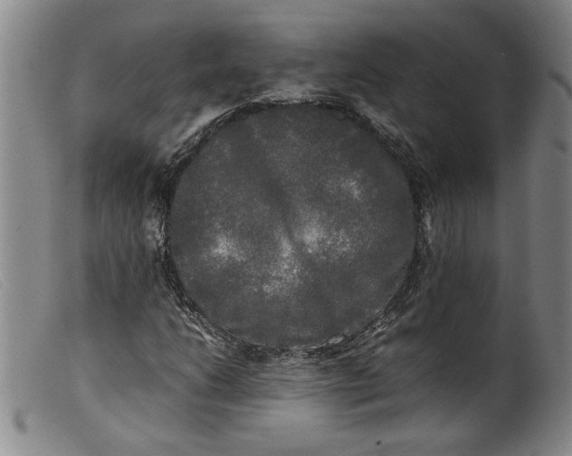 X0000099411206200805231556