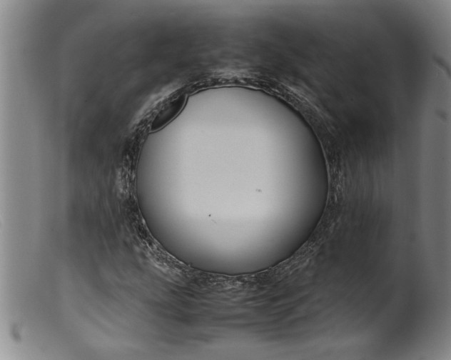 X0000099411207200805231556