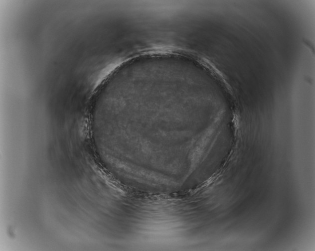 X0000099411208200805231556