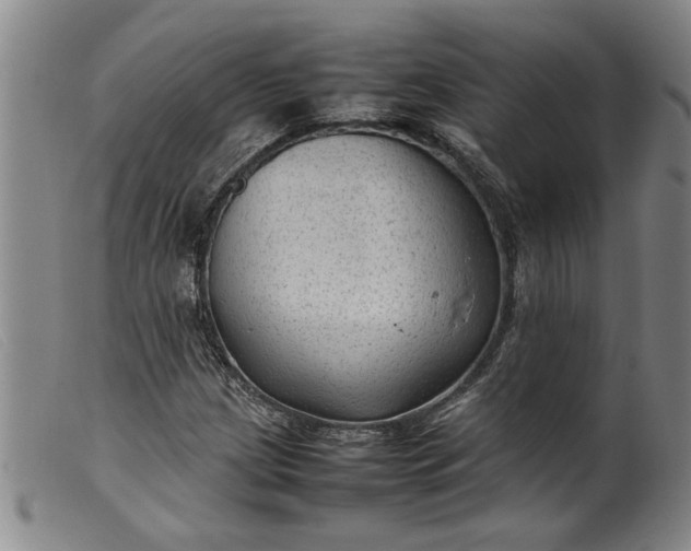 X0000099411209200805231556