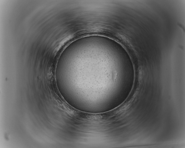 X0000099411210200805231556