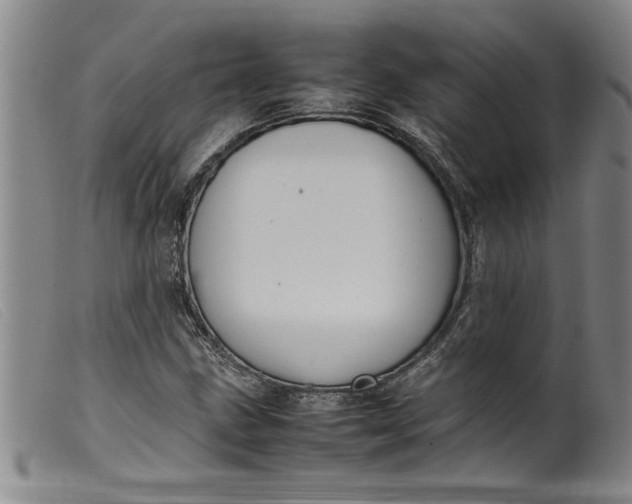 X0000099411211200805231556