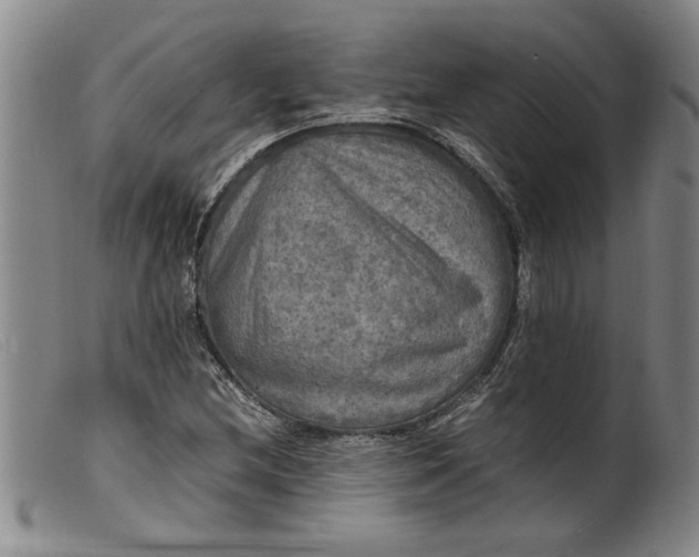 X0000099411212200805231556