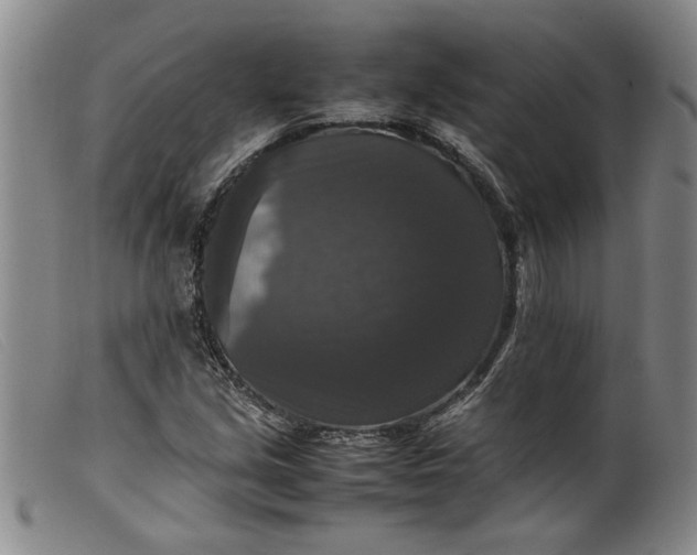 X0000099411213200805231556