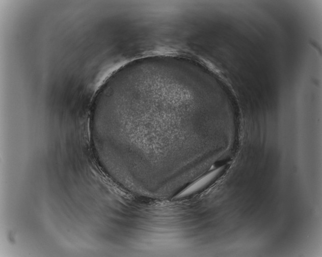 X0000099411214200805231556