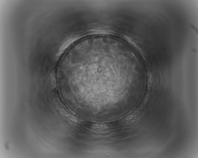 X0000099411215200805231556