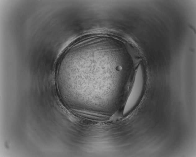 X0000099411216200805231556