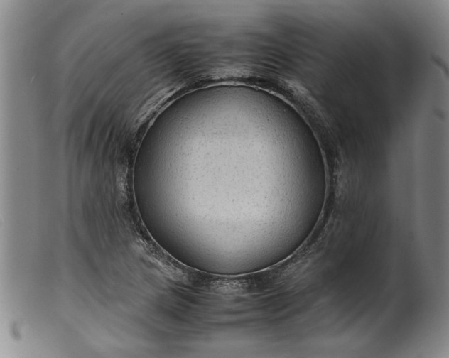 X0000099411217200805231556