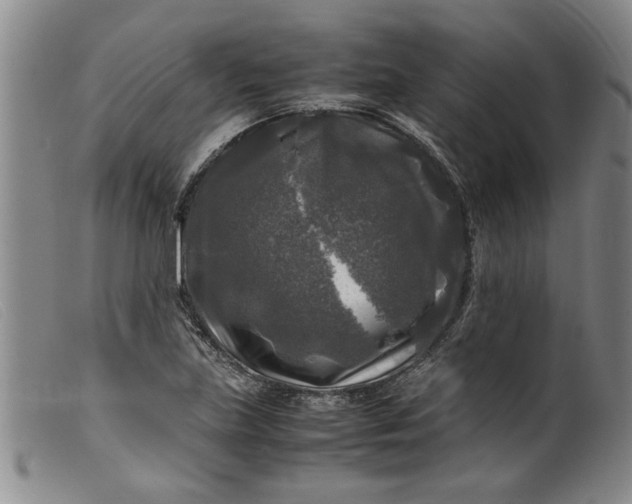 X0000099411219200805231556