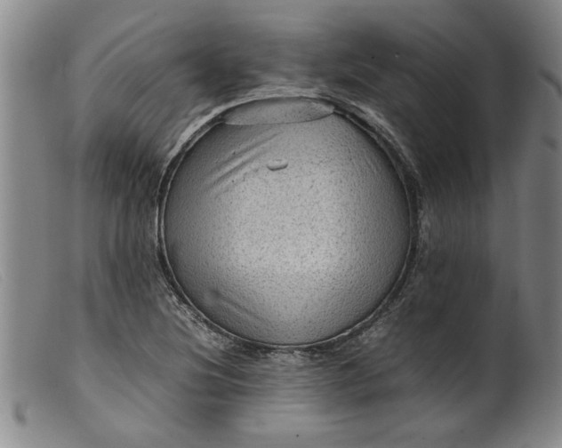 X0000099411220200805231556