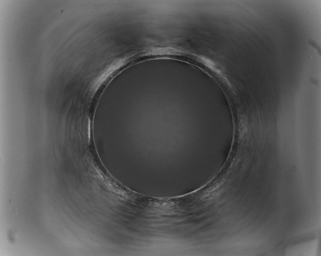 X0000099411221200805231556