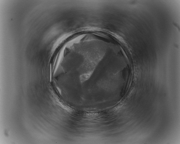 X0000099411223200805231556