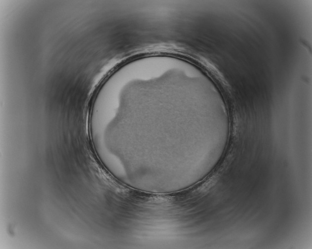 X0000099411224200805231556