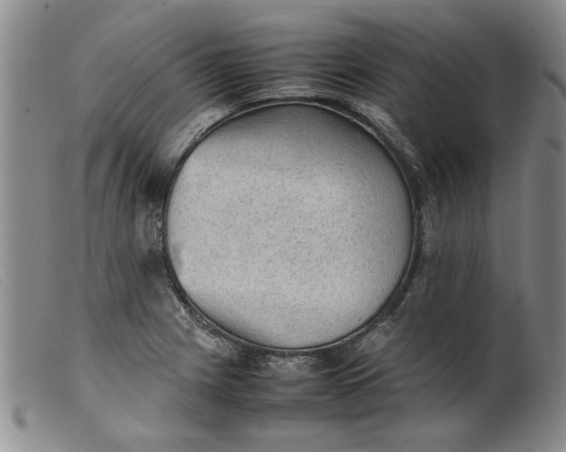 X0000099411225200805231556