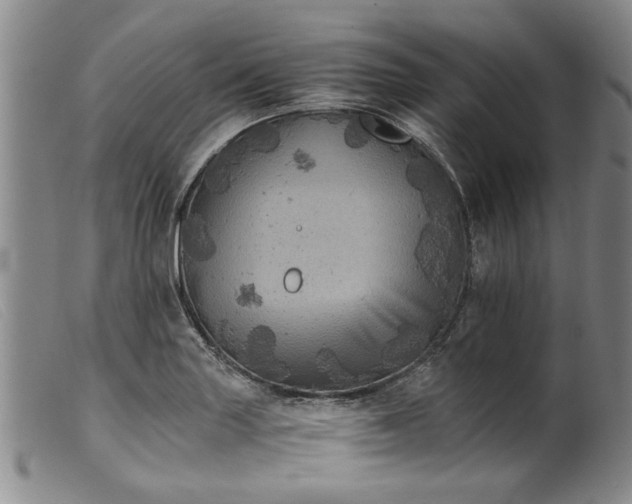 X0000099411227200805231556