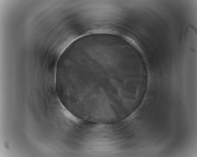 X0000099411228200805231556