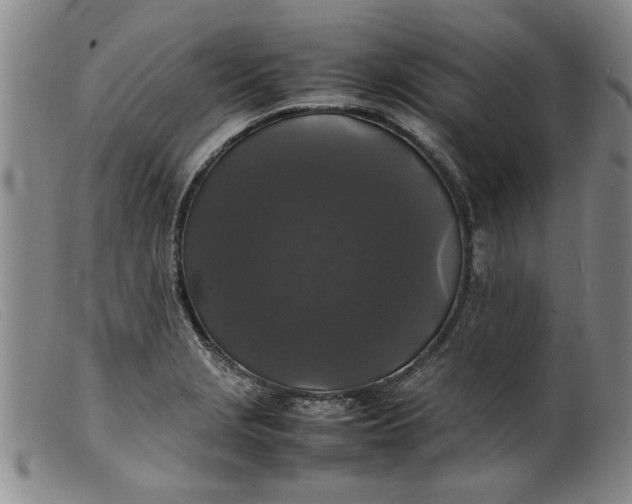 X0000099411229200805231556