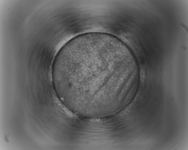 X0000099411230200805231556