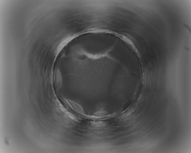 X0000099411231200805231556