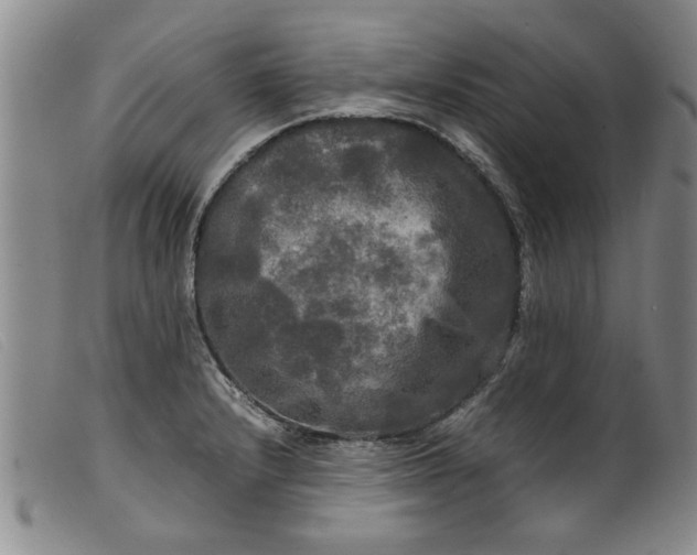 X0000099411232200805231556