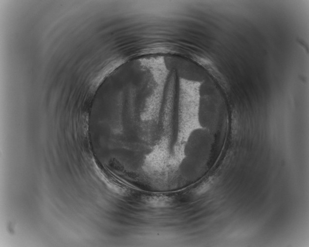 X0000099411233200805231556