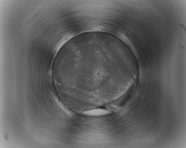 X0000099411234200805231556