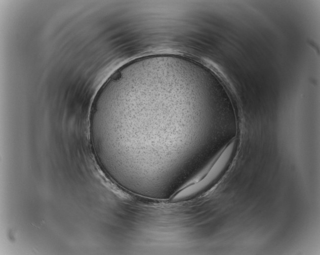 X0000099411236200805231556