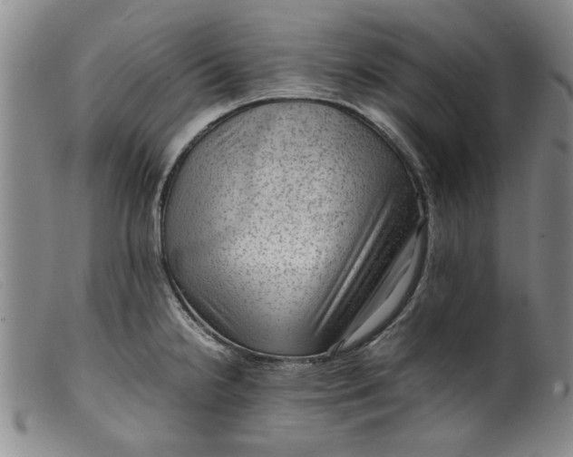 X0000099411238200805231556