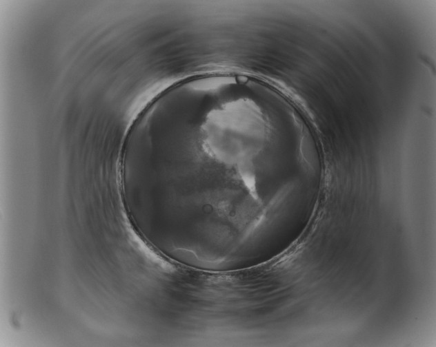 X0000099411239200805231556