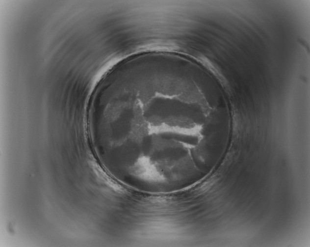 X0000099411240200805231556