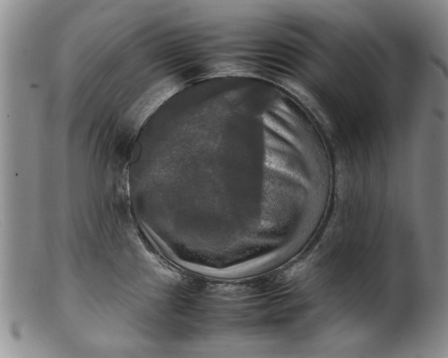 X0000099411241200805231556