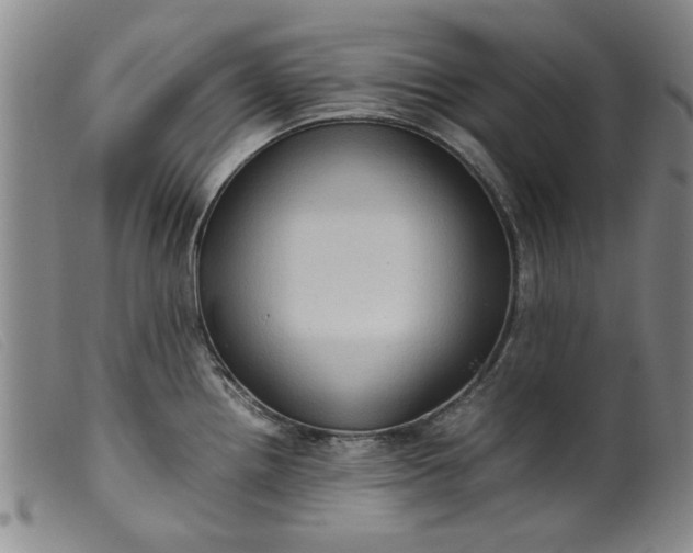 X0000099411242200805231556