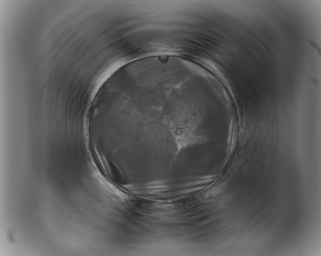 X0000099411243200805231556