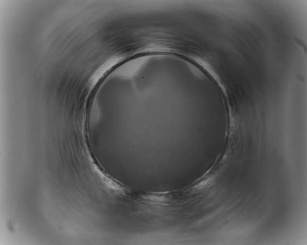 X0000099411245200805231556