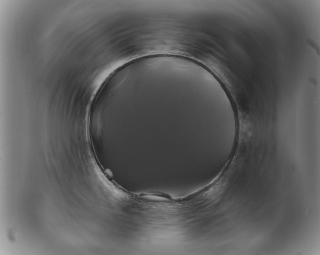 X0000099411246200805231556