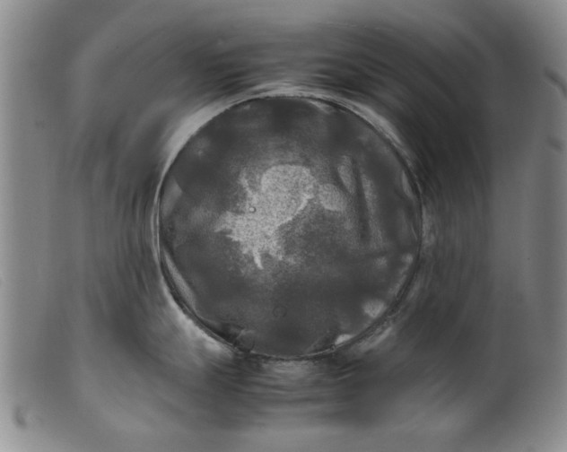 X0000099411247200805231556