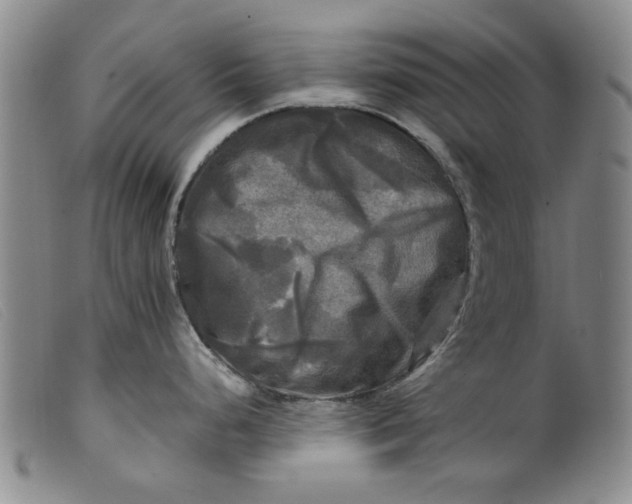 X0000099411248200805231556