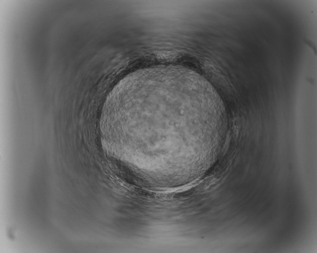 X0000099411249200805231555