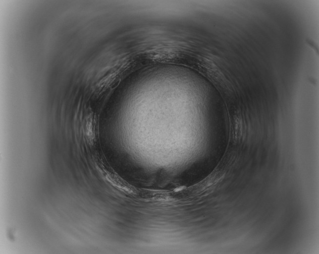 X0000099411250200805231555