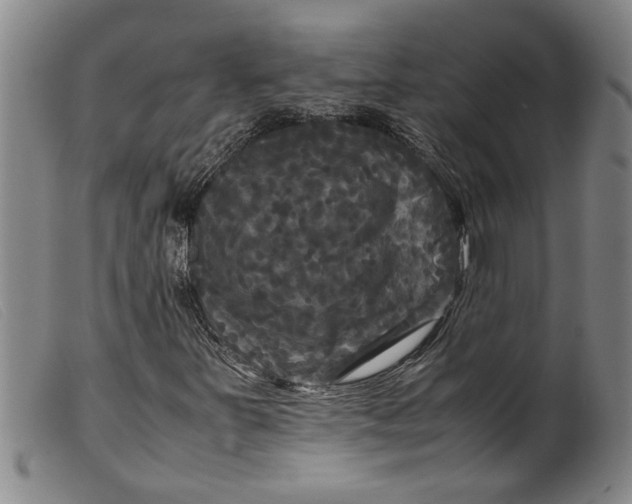 X0000099411251200805231555