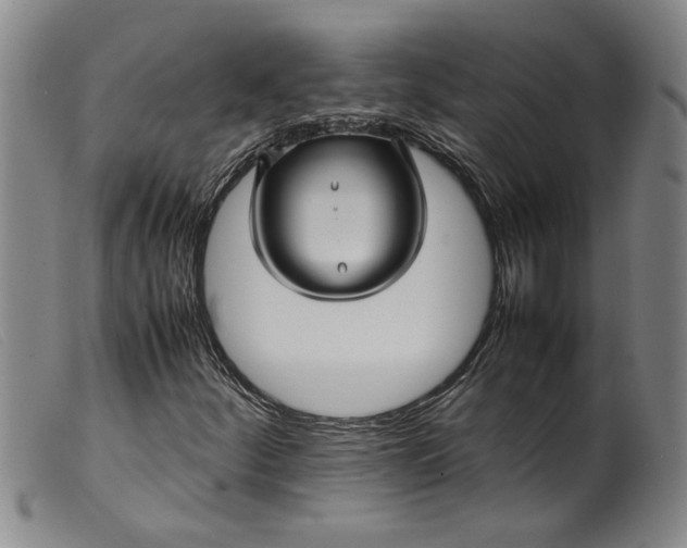 X0000099411252200805231555