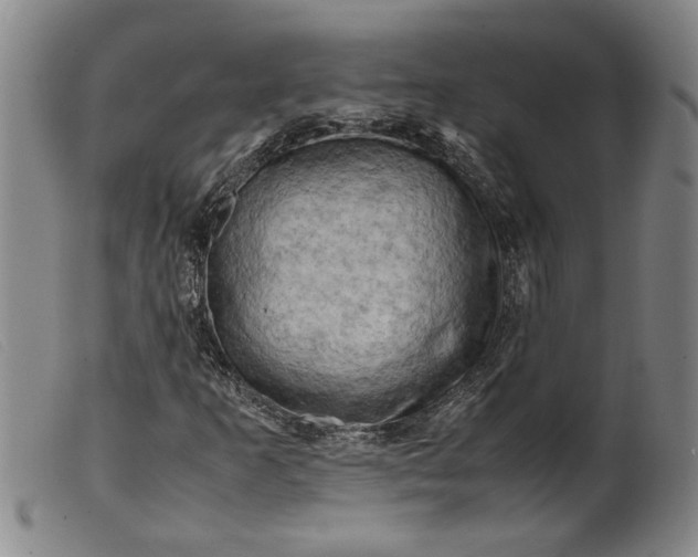 X0000099411253200805231555