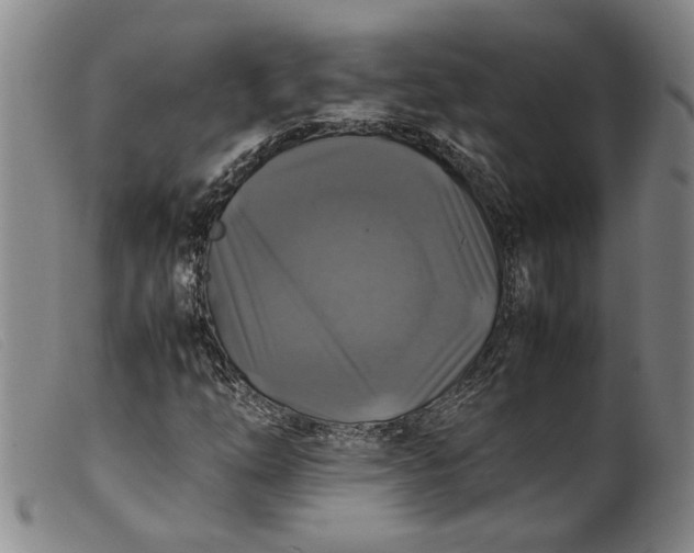 X0000099411254200805231555