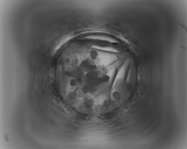 X0000099411255200805231555