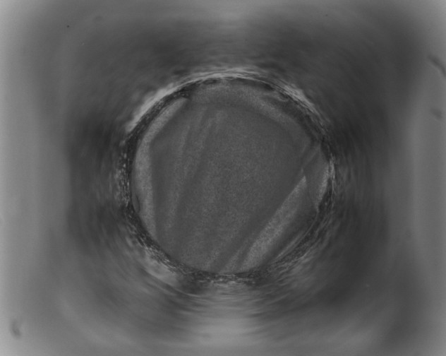 X0000099411256200805231555