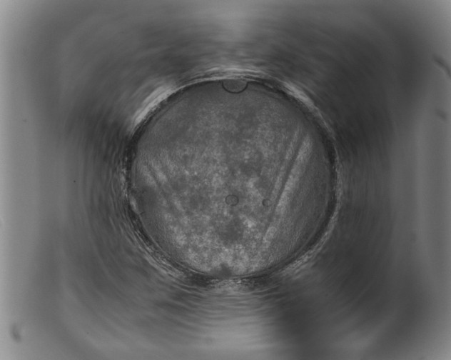 X0000099411259200805231555