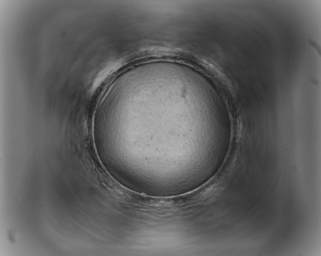 X0000099411261200805231555