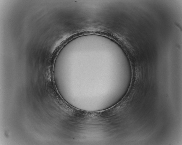 X0000099411262200805231555